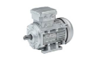 Gear Motor P/N 13800-442*